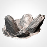 "txarli factory", Rocky