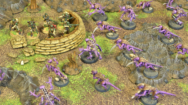 Trench Warfare Zone : Elements