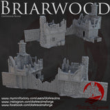 "Briarwood", Entrée de la ville en ruine