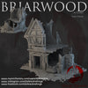 "Briarwood in flames", Shop 4 ruins