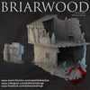 "Briarwood in flames", house 2 ruins